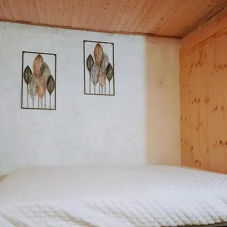 Homestay Estudio Com Hidromassagem Em Casa Com Pisicna E Churrsqueira Santar