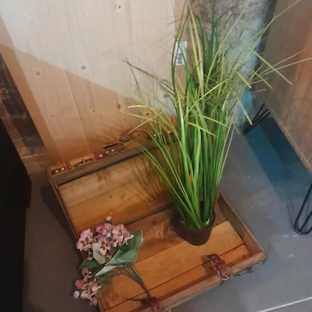 Estudio Com Hidromassagem Em Casa Com Pisicna E Churrsqueira